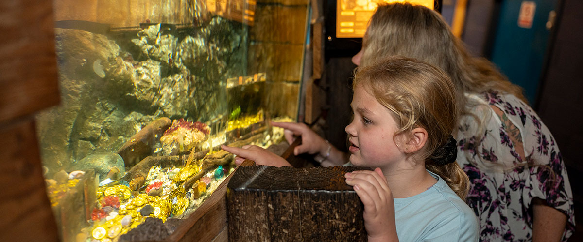 Lake District Coast Aquarium, Maryport