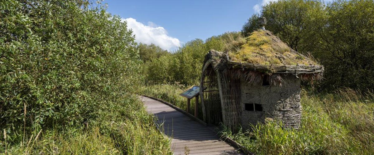 Dubwath Silver Meadows Nature Reserve