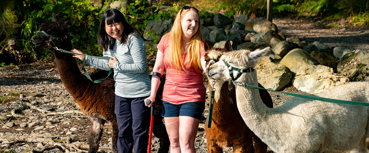 Alpacaly Ever After at The Lingholm Estate