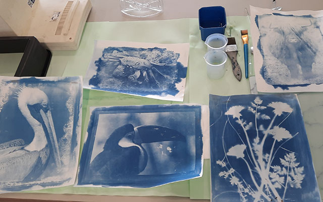 Cyanotype workshop at Rheged