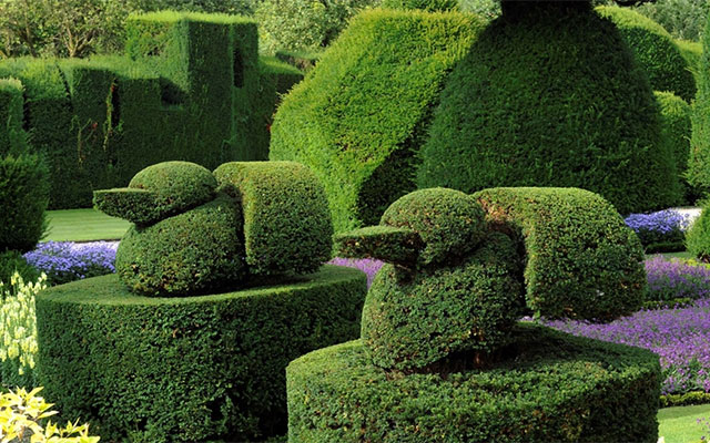 Levens Hall and Gardens Topiary